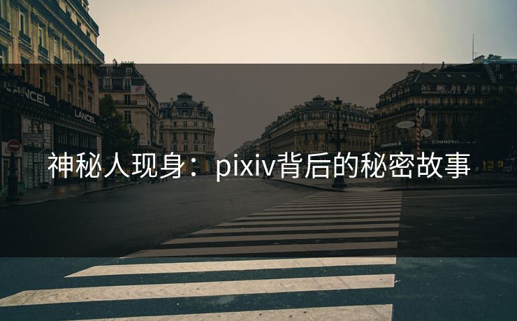 神秘人现身：pixiv背后的秘密故事
