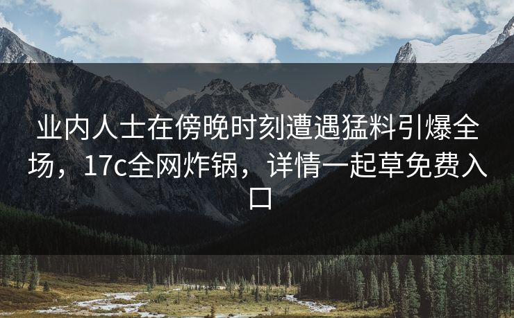 业内人士在傍晚时刻遭遇猛料引爆全场，17c全网炸锅，详情一起草免费入口