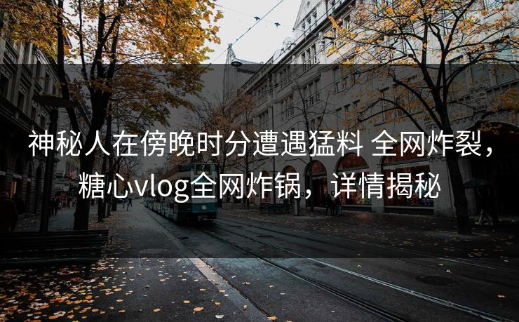 神秘人在傍晚时分遭遇猛料 全网炸裂，糖心vlog全网炸锅，详情揭秘