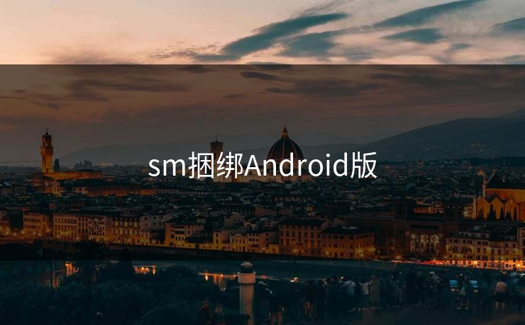 sm捆绑Android版